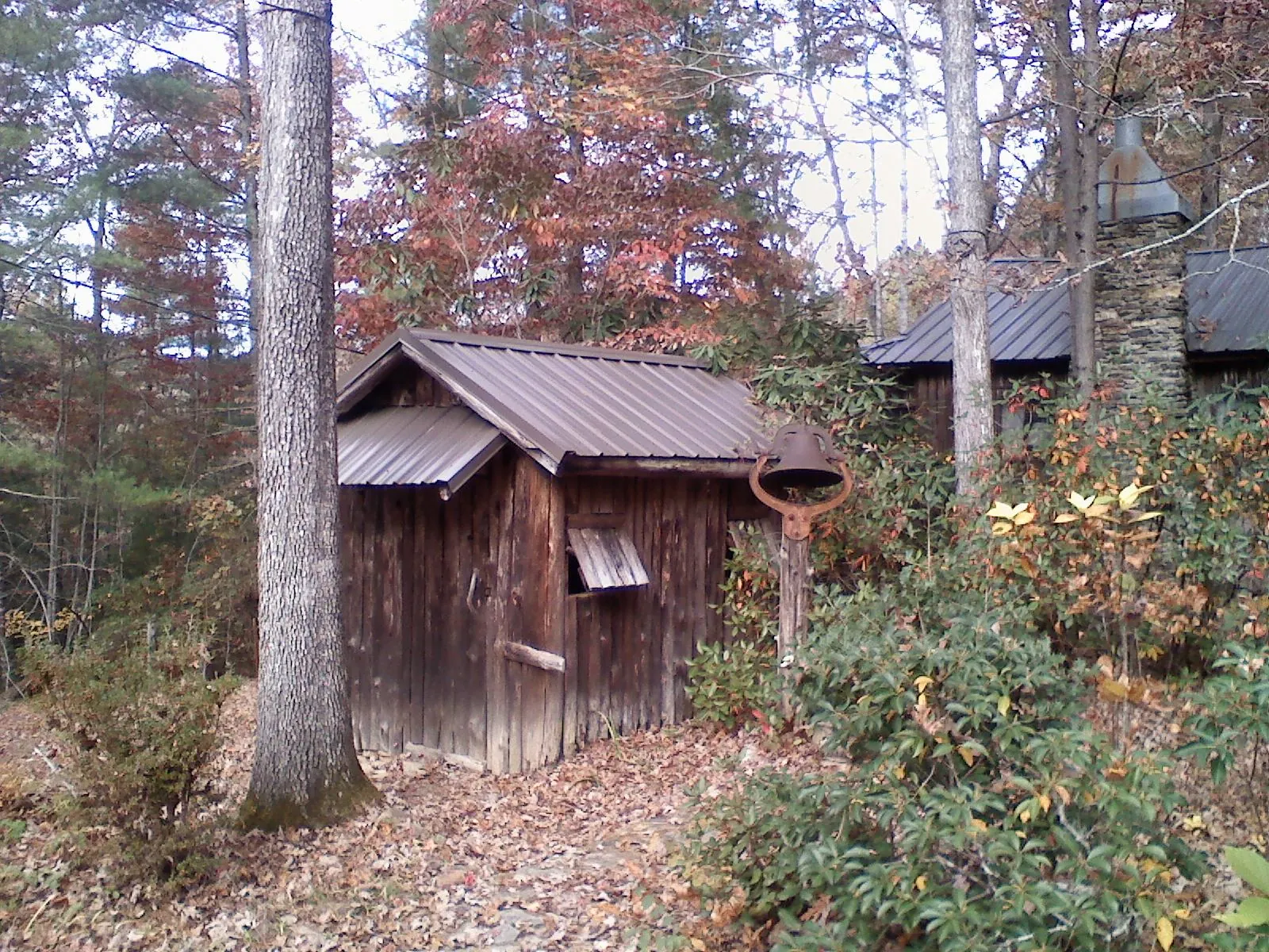 Small metal roof on a rough sawn shed in the woods in Swannanoa